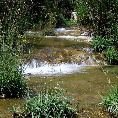 סירקוזה B&B Tari מראה חיצוני תמונה