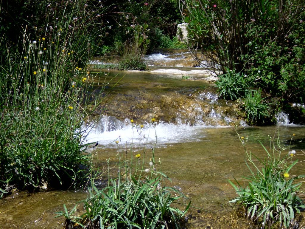 סירקוזה B&B Tari מראה חיצוני תמונה
